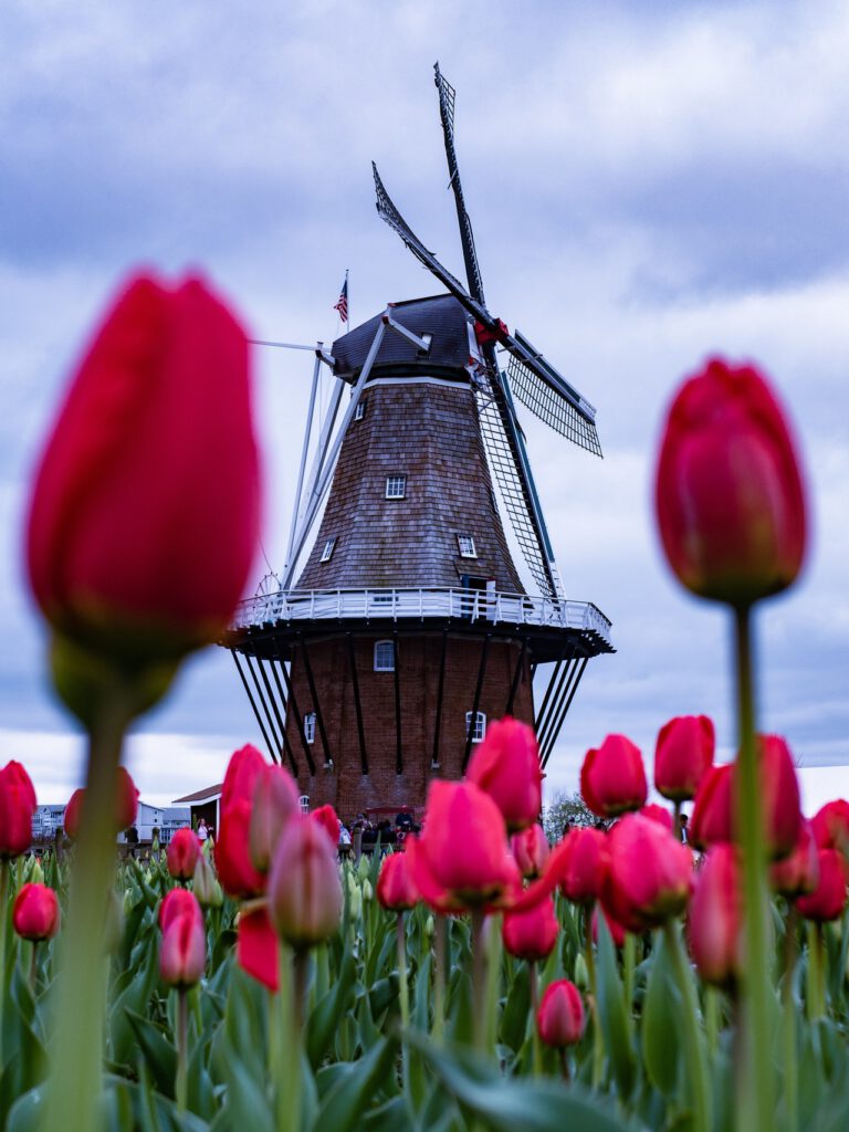 mooiste plekken in Nederland